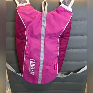 Kids' CamelBak Skeeter Backpack – Bag OnlyCamelBak Pink Hydration Pack